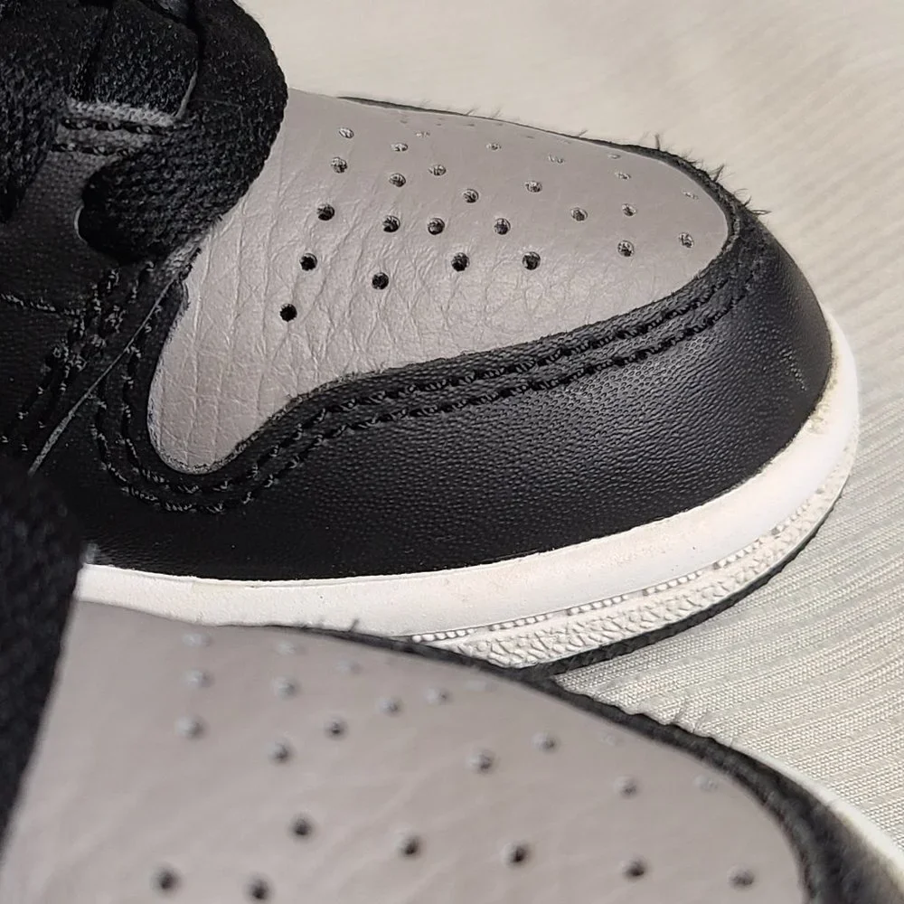 Jordan 1 Retro High Shadow (2018)